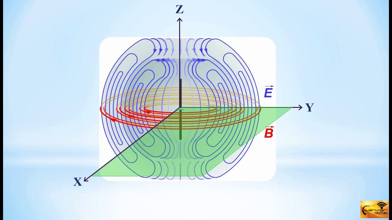 CST MWS Tutorial 08 Halfwave Dipole Simulation, Boundary Conditions & Mesh Generation YouTube