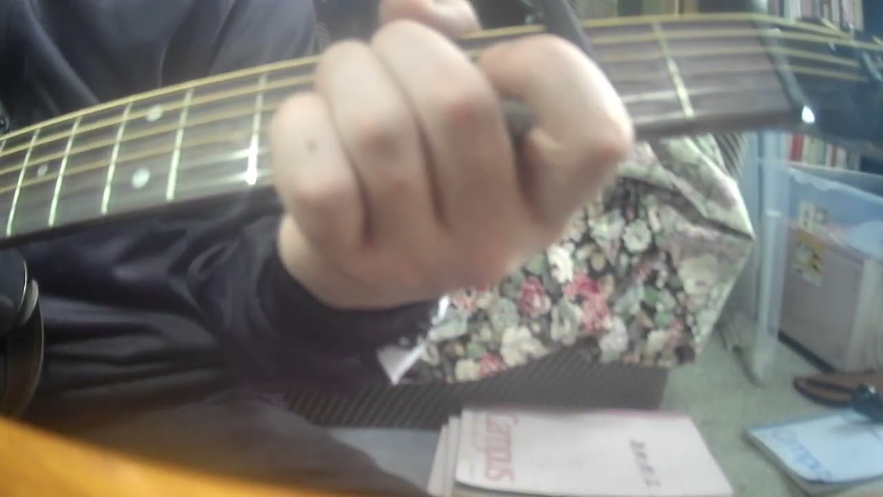 ひざまくら（LIVE HEAVY GAUGEVer）　長渕剛カバーbyオサム