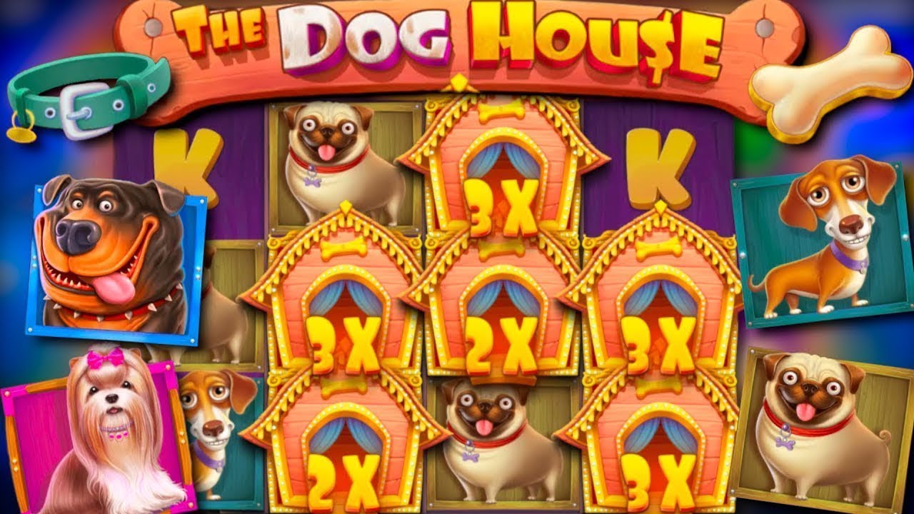 Doghouse slot. Doghouse казино. Слот собаки. Doghouse слот. Дог Хаус слот казино.