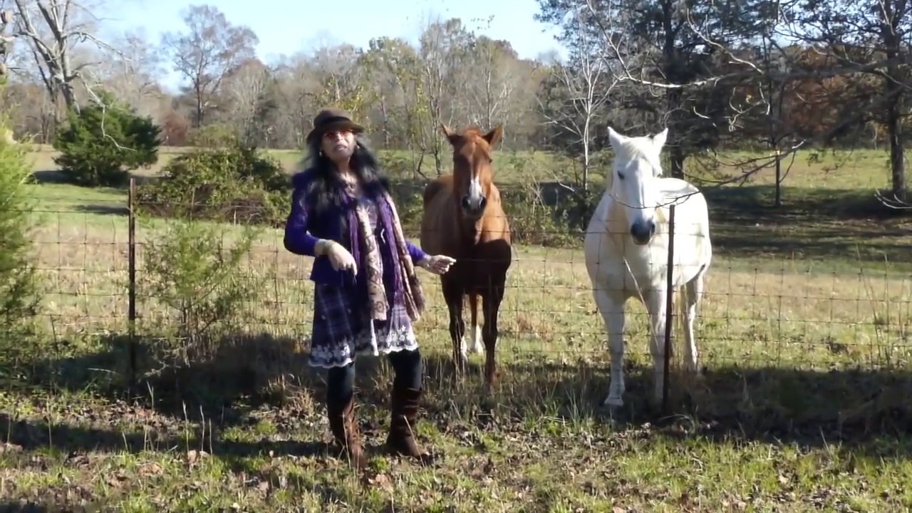 Country Music Tonight Michelle Rocking Horse YouTube Country Music Tonight Michelle Rocking Horse YouTube