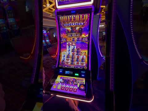 $100 Spins on DRAGON LINK Celebrating 20K Subs! SURPRISE JACKPOT!