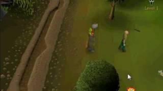 RuneScape 525 Private Server - Perfect-Damage