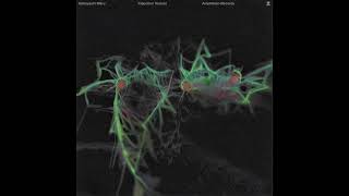 Kobayashi Maru - Induction Texture (A Strange Wedding Side Quest Remix) [AMPH004]