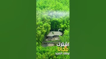 صوت جميل  - تلاوات زكية بنبرة هادئة تريح الأعصاب