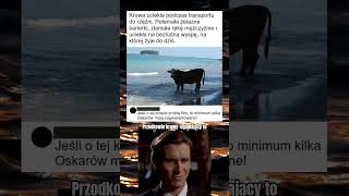 66/100 #funny #polska #viralvideo #youtubeshorts #shortvideo #shorts #memes #memy #dailyshorts 66/100 #funny #polska #viralvideo #youtubeshorts #shortvideo #shorts #memes #memy #dailyshorts