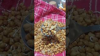 Healthy Breakfast Recipes #shortfeed #moongchana #sproutssalad #sproutchaat #food #healthy #viral