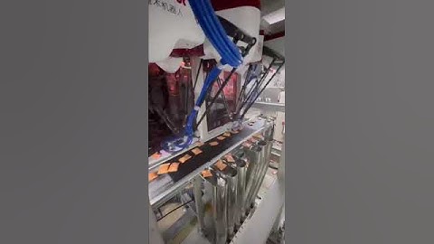 High-Speed Sorting for Material Bags with Parallel Robot