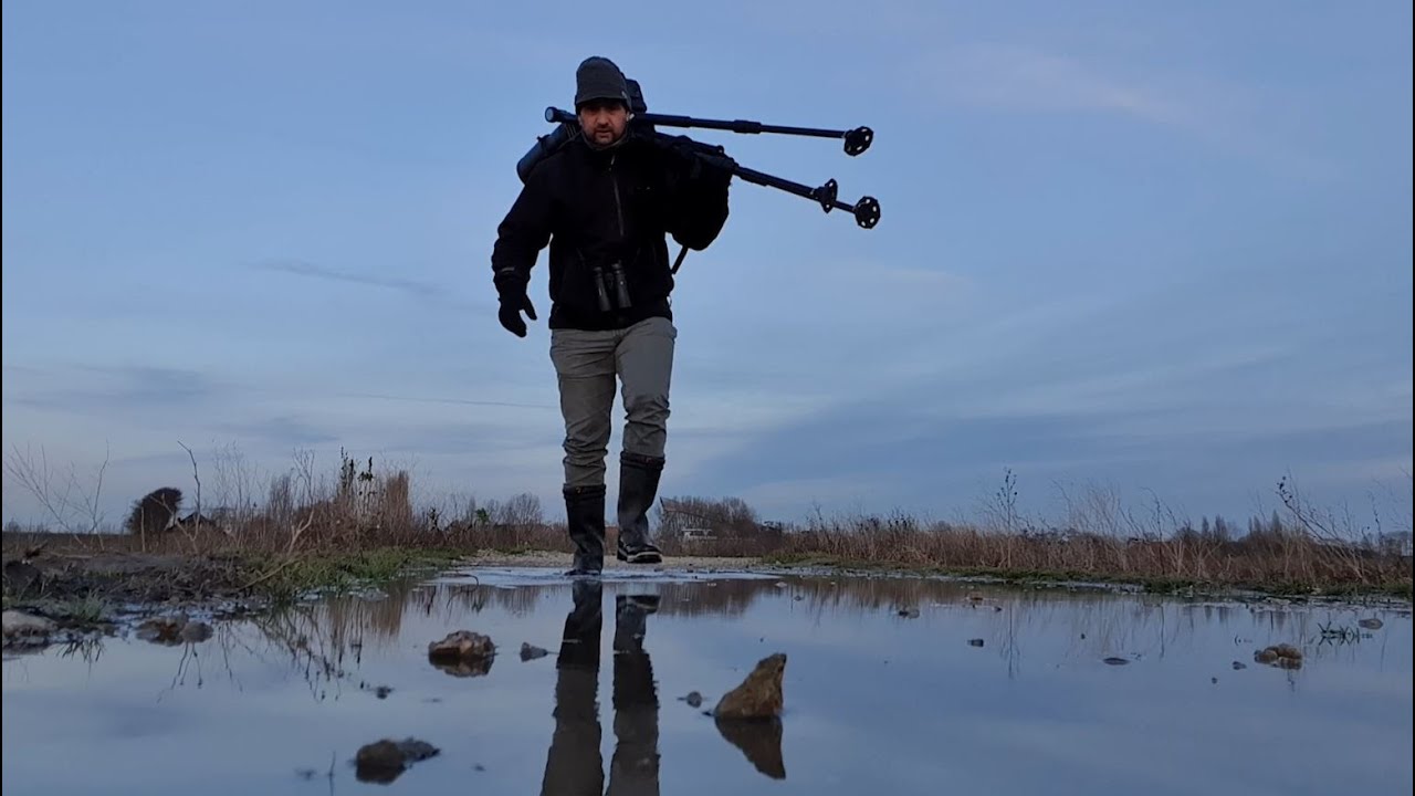 NATUURLIJK! Meester Arno's Vogelvlog #7   Wintervogels
