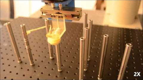 Robot-human knot tying collaboration