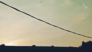 Story wa pejuang mahar