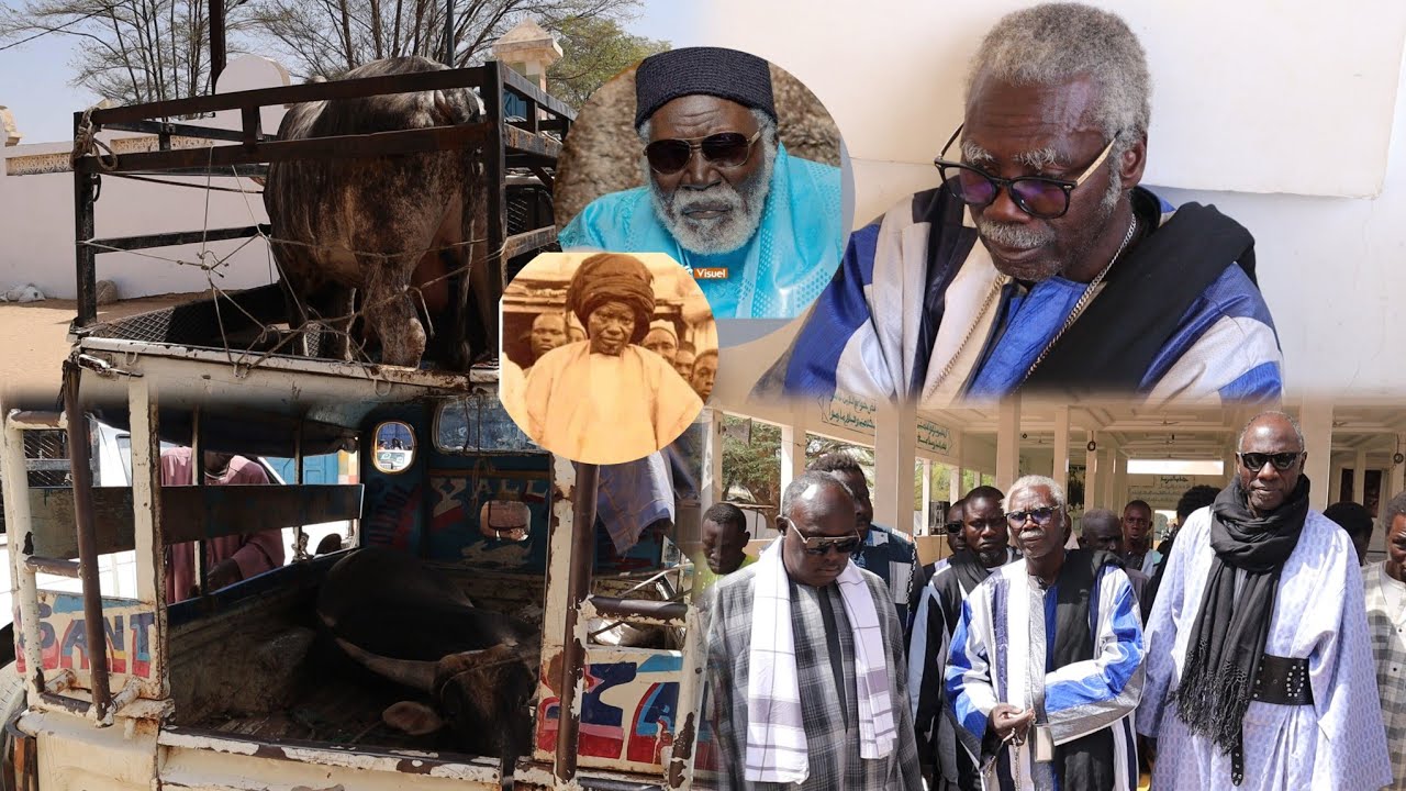 Wajal Ndogou Adiouma Yi Déballé Adiya Serigne Fallou Fall Ndiagna Cherif ci S Amdy Khady fall  Touba