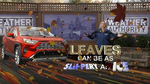 Wet leaves can be as slippery as ice on the road!