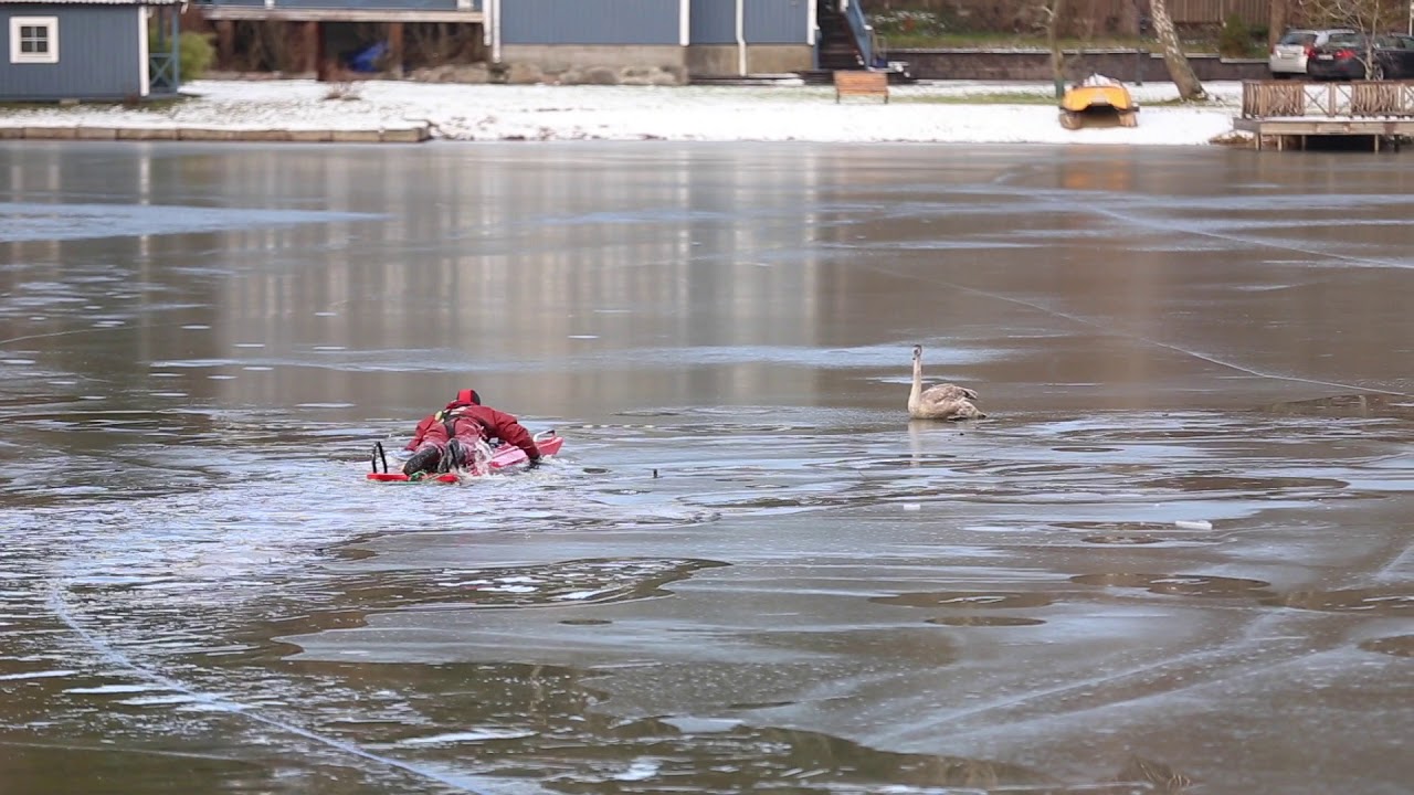 Djurräddning i Skogstorp