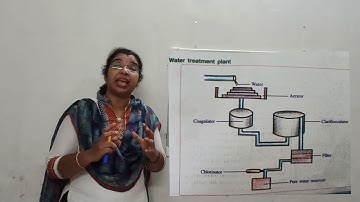 For a Pollution free Nature (Chapter 6 Part 4, Basic Science Standard 7)