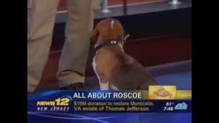 Roscoe the Bed Bug Dog Demonstrates His Skills on News 12-NJ's "The Pet Stop"