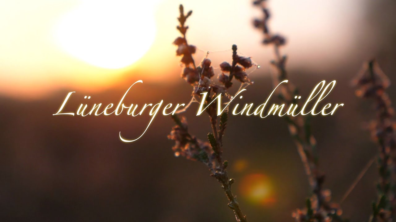 Lüneburger Windmüller - ein Tanzfilm