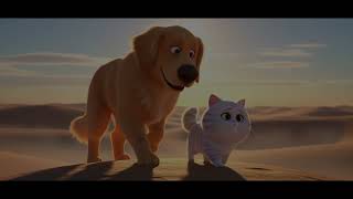 Nimbus The Cat AI Animated Video #aiart #cat #animation