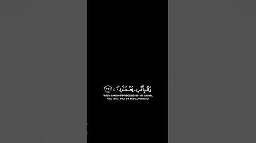 وقالوا اتخذ الرحمن ولدا | #كرومات_قرآن للقارئ بدر البشر.