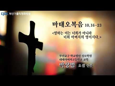 영상썸네일
