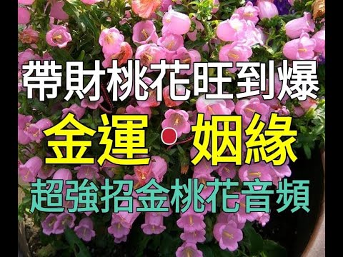 Solfeggio Music 聴くほどに運気が上昇し 聽的人會引發真正的奇蹟 最強金運 恋愛 吸引力法則 潛意識 冥想音樂 免疫力や治癒力アップ 建議使用耳機 Headphone Is Need Youtube