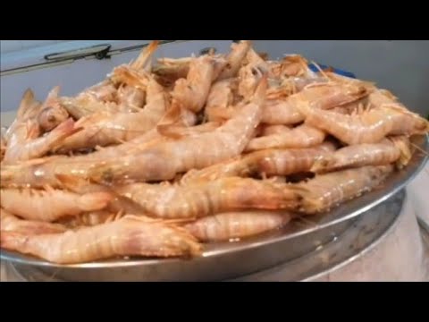 جولة في سوق السمك في السعودية الدمام أسعار السمك الخليجي موسم الجمبري بدأ في الدمام