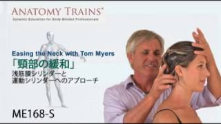 トム ・ マイヤーズ ANATOMY TRAINSEasing the Neck with Tom Myers ...
