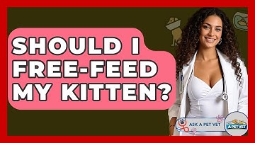 Should I Free-feed My Kitten? - Ask A Pet Vet