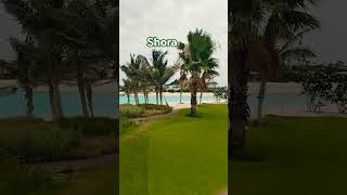 Shora #youtubeshort #shortvideo
