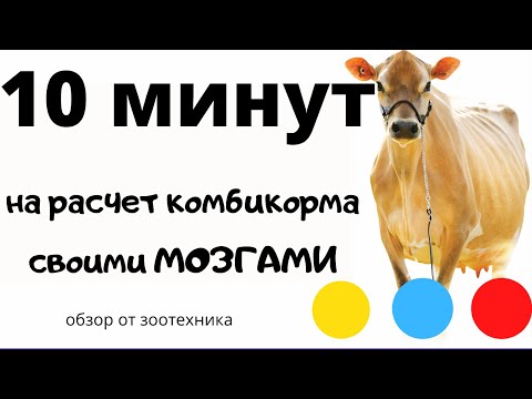 10 минут на рецепт комбикорма