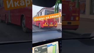 Автобус икарус в Польше!..
