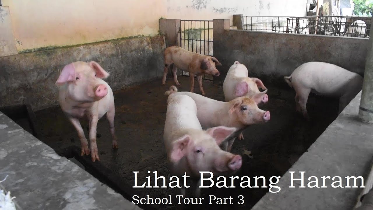 Seminari Mertoyudan - Lihat Barang Haram!! (School Tour Seminari Mertoyudan) Part 3