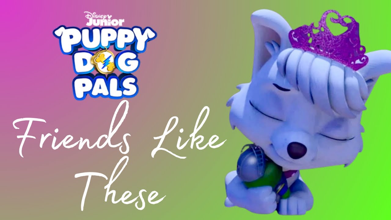 Paw Patrol - Friends Like These - Puppy Dog Pals