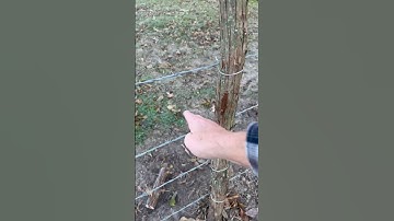 Making Barbed Wire Fence Better.