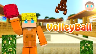 Play Volleyball with your friends ! screenshot 4