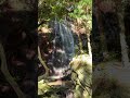 姥ヶ滝