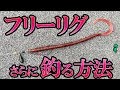 【琵琶湖】フリーリグの極意！教えます。