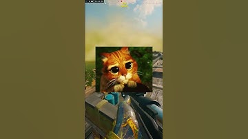 The Most Wholesome Video in Warzone ...