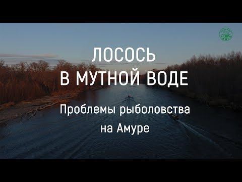 Бейне: Лосось уылдырығы дегеніміз не?