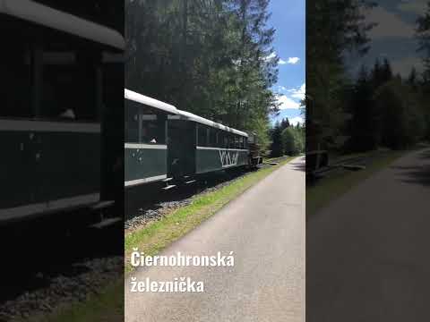 Čiernohronská železnička Vydrovo Shorts 