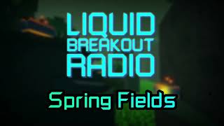 Liquid Breakout OST - Spring Fields (Classic)