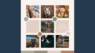 Simplistic Backdrops for Calmed Puppies