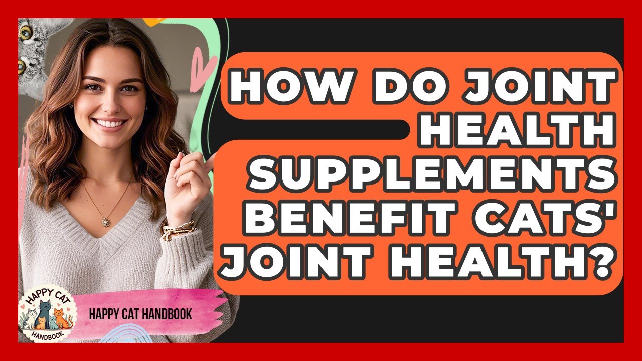 How Do Joint Health Supplements Benefit Cats' Joint Health? | Happy Cat Handbook