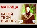 Синхронизация. Угадать 10 раз из 10 - это реально. Но не "угадать" , а управлять матрицей!