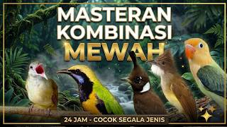 MASTERAN MURAI BATU KOMBINASI TEMBAKAN MATERI JERNIH COCOK UNTUK MASTERAN BURUNG BAHAN CEPAT JUARA