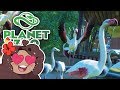 Wrestling an Entire Flock of FLAMINGOS!! 🐼 Daily Planet Zoo! • BONUS Day 56
