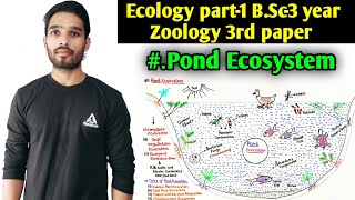 Pond Ecosystem B.Sc 3rd year Zoology || Ecosystem part-2 || B.Sc 3rd year Zoology third paper