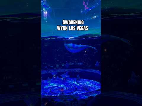 This Whale Is Ginormous!