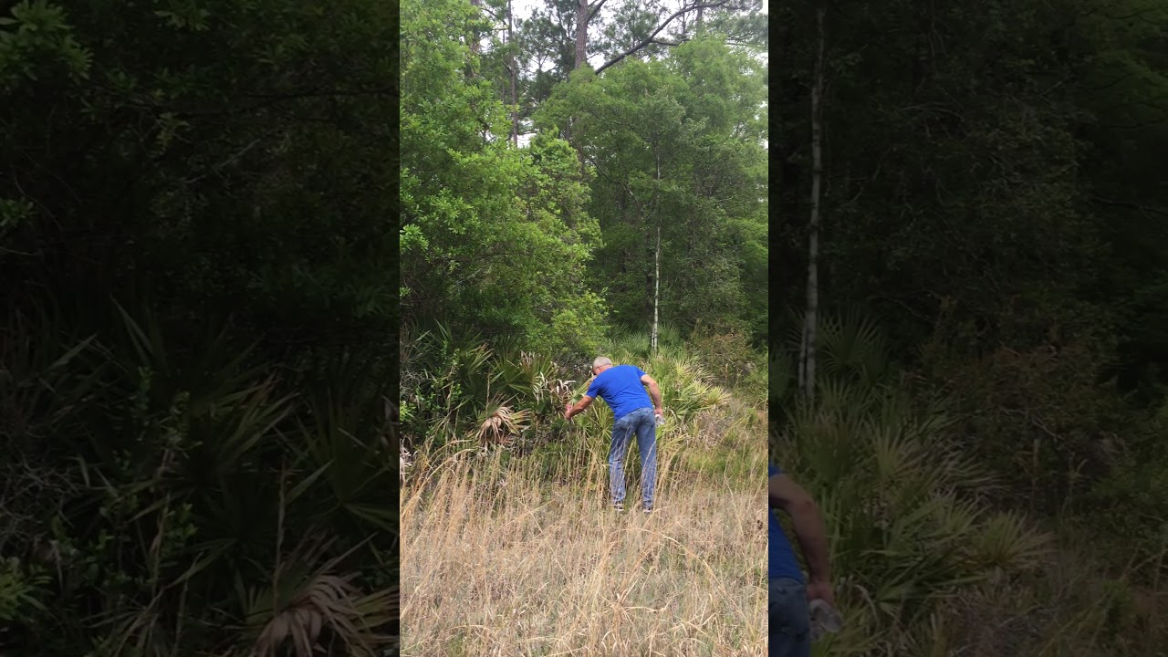 Jacksonville Florida - Cecil Commerce Center