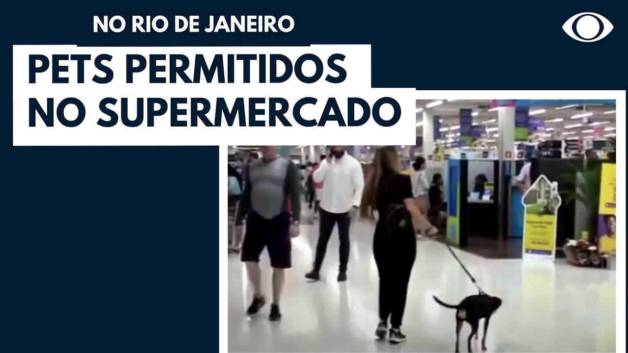 Rio de Janeiro permite cães e gatos em supermercados