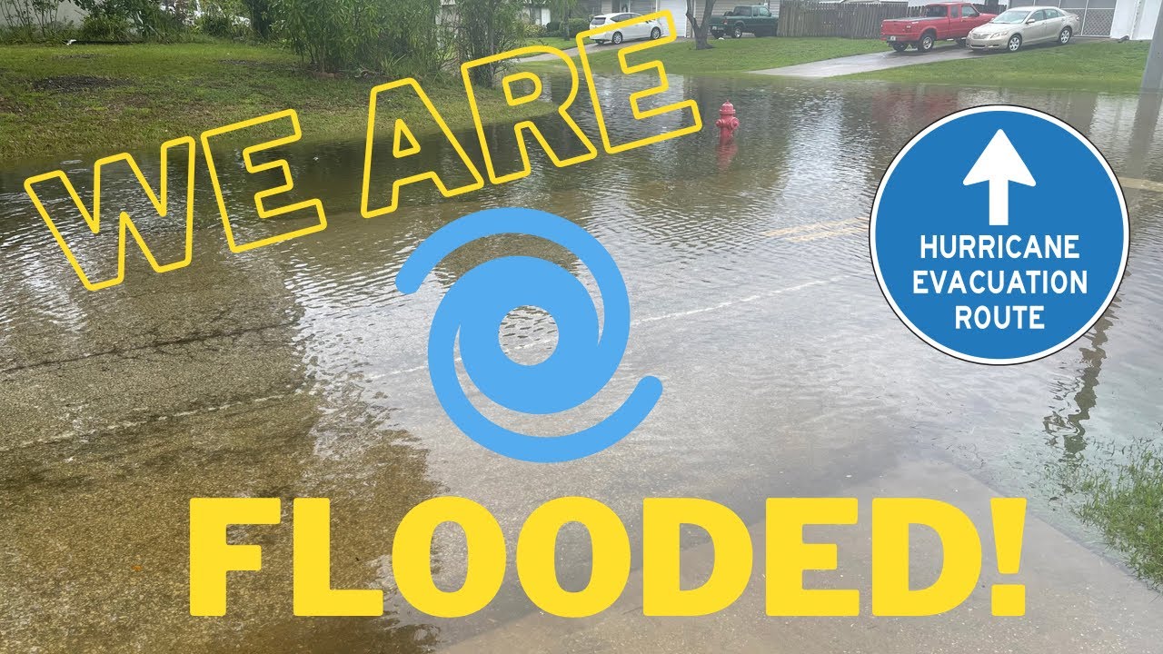 Stranded in The Reborn Nursery For a While But we Are Safe!